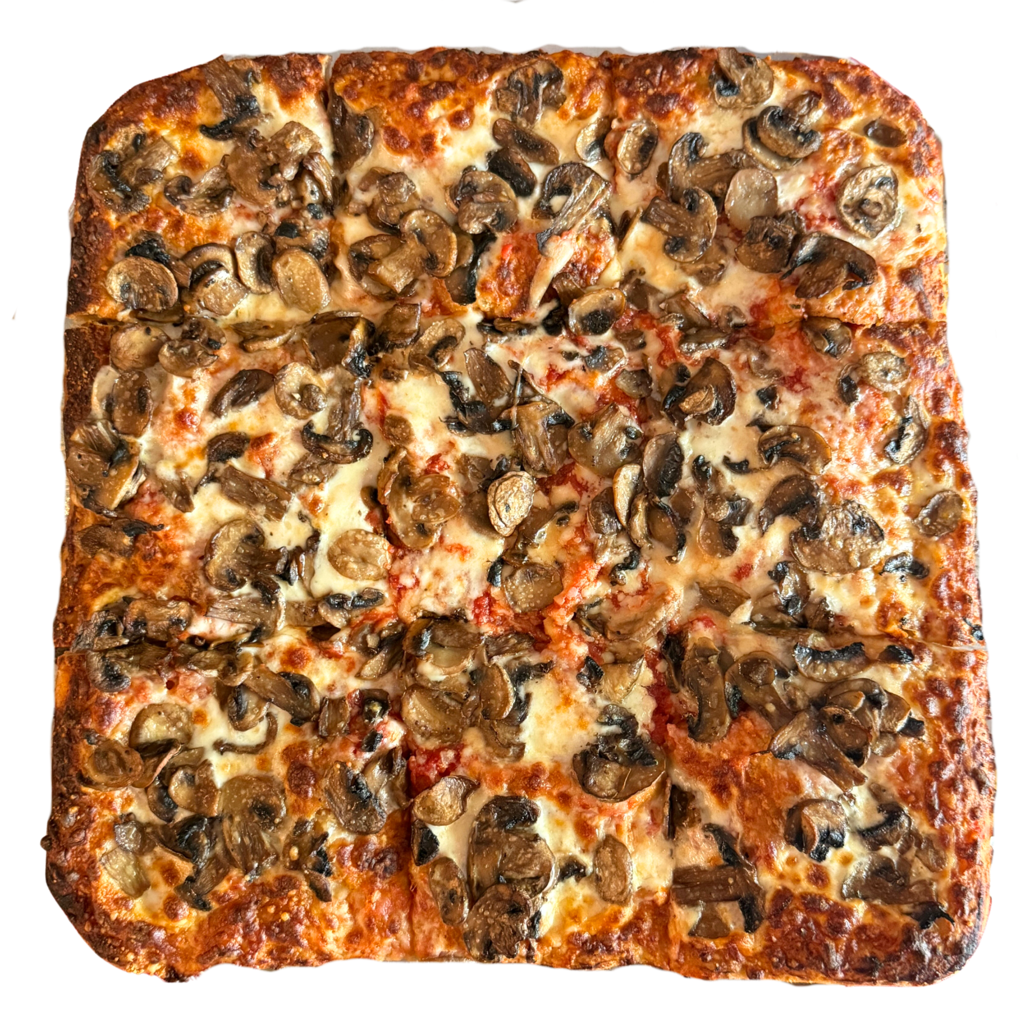 FUNGHI